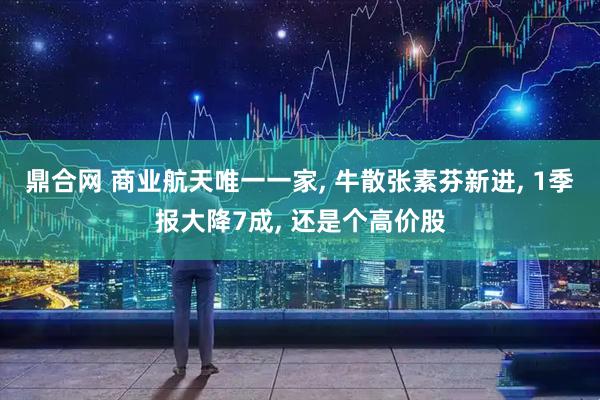 鼎合网 商业航天唯一一家, 牛散张素芬新进, 1季报大降7成, 还是个高价股