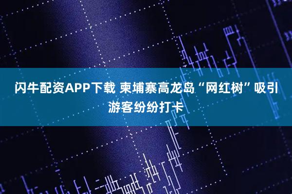 闪牛配资APP下载 柬埔寨高龙岛“网红树”吸引游客纷纷打卡