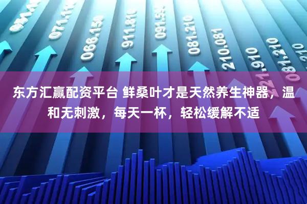 东方汇赢配资平台 鲜桑叶才是天然养生神器，温和无刺激，每天一杯，轻松缓解不适