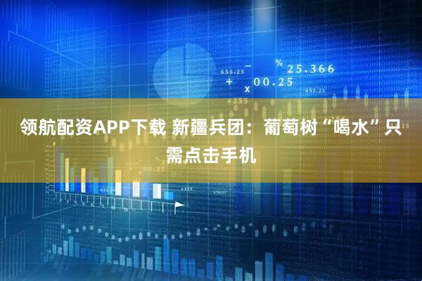 领航配资APP下载 新疆兵团：葡萄树“喝水”只需点击手机