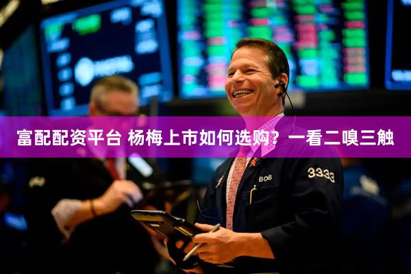 富配配资平台 杨梅上市如何选购？一看二嗅三触
